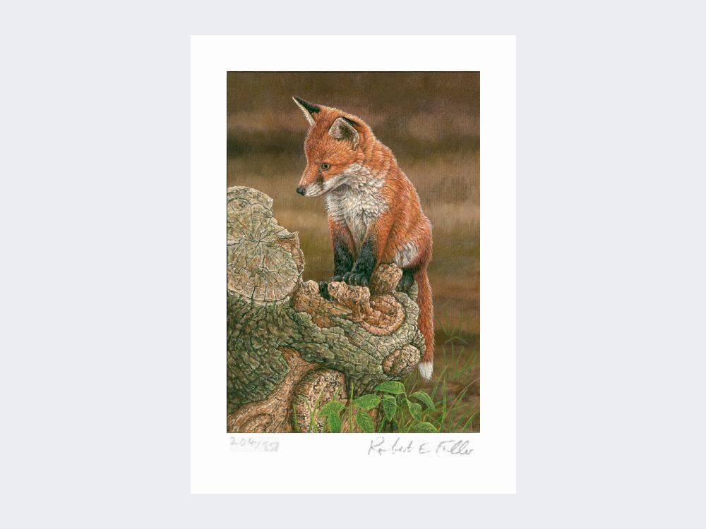 Fox-on-tree-stump-Print-Loose-Print-Only