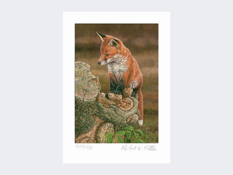 Fox-on-tree-stump-Print-Loose-Print-Only