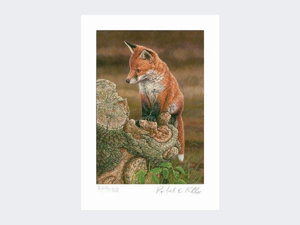 Fox on Tree Stump | Limited Edition Art Print