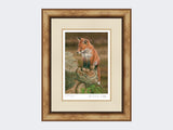 Fox-on-tree-stump-Print-Medium-Light-Burr