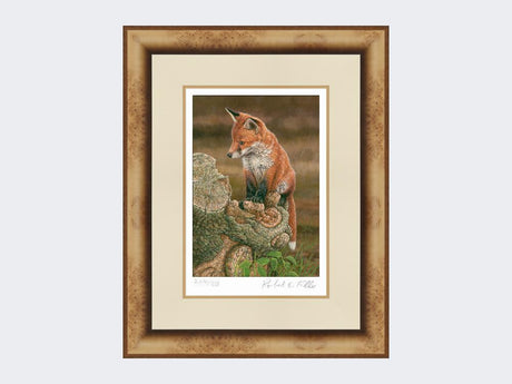 Fox-on-tree-stump-Print-Medium-Light-Burr