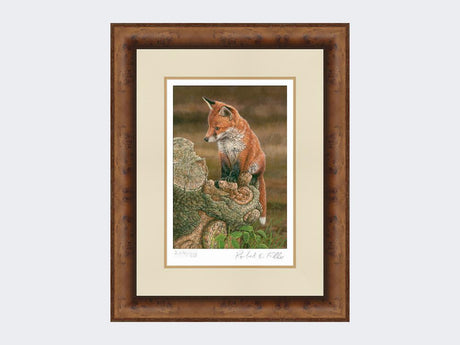 Fox-on-tree-stump-Print-Medium-Walnut-Burr