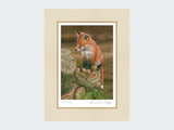 Fox-on-tree-stump-Print-Mounted-Print-Only