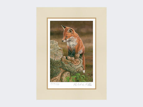 Fox-on-tree-stump-Print-Mounted-Print-Only