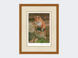 Fox-on-tree-stump-Print-Rustic-Country