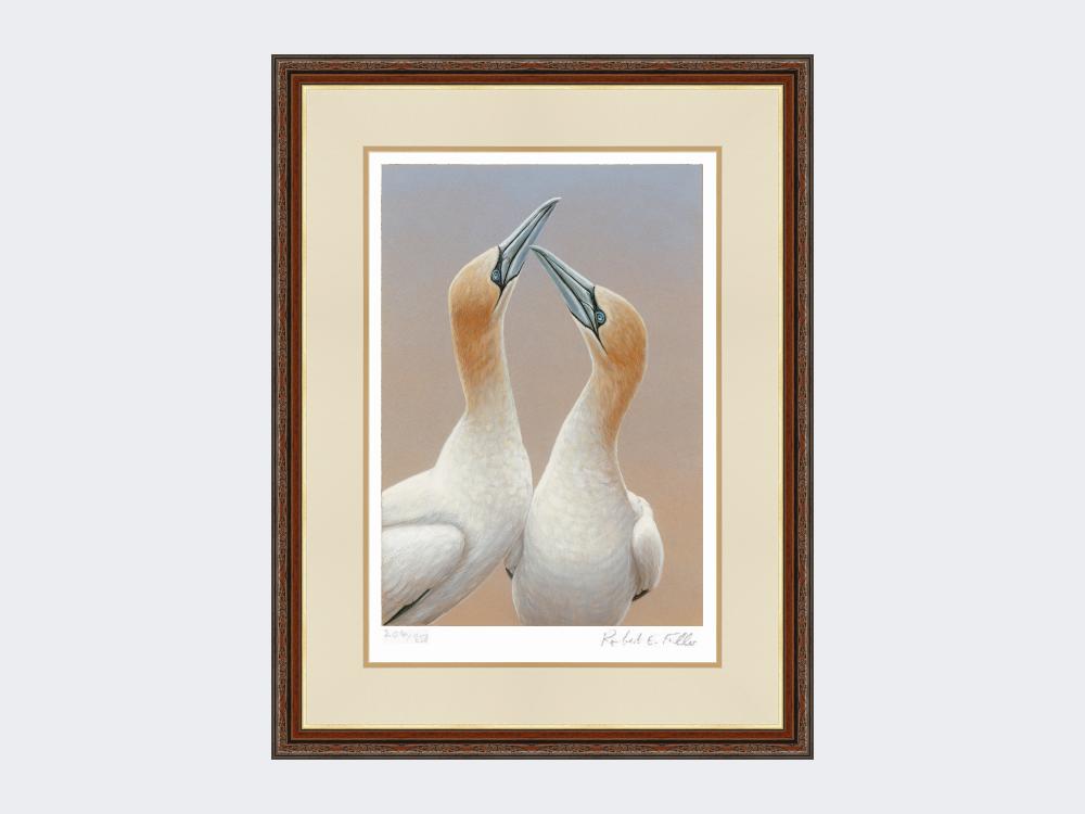 Gannets-Sky-Pointing-Limited-Edition-Print-Harvest-Twist