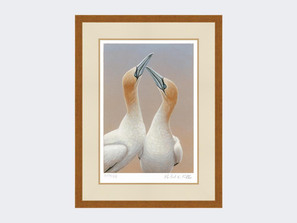 Gannets-Sky-Pointing-Limited-Edition-Print-Rustic-Country