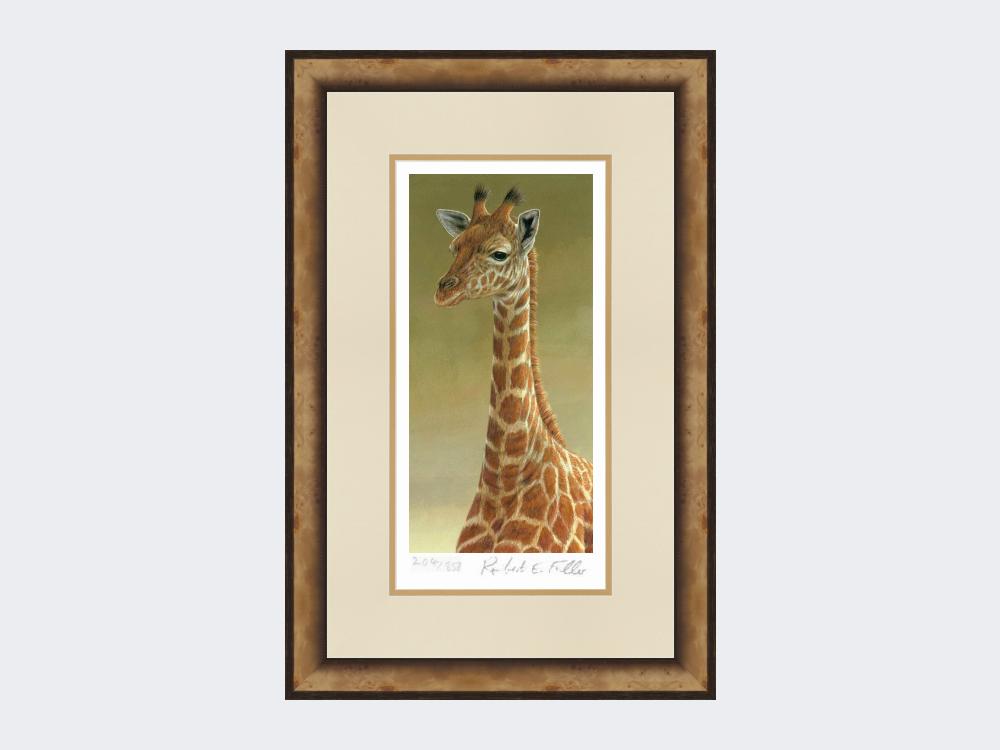 Giraffe-Portrait-Print-Small-Light-Burr