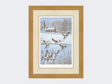 Givendale-Geese-Limited-Edition-Print-Light-Oak