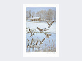 Givendale-Geese-Limited-Edition-Print-Loose-Print-Only