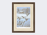 Givendale-Geese-Limited-Edition-Print-Small-Dark-Grey-Burr