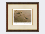 Goldcrest-on-Larch-Print-Harvest-Twist