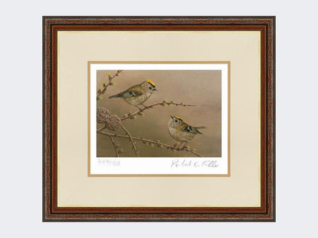 Goldcrest-on-Larch-Print-Harvest-Twist