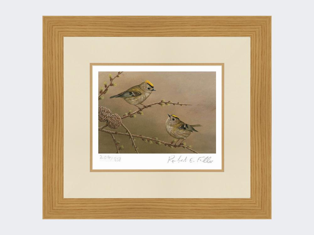 Goldcrest-on-Larch-Print-Light-Oak