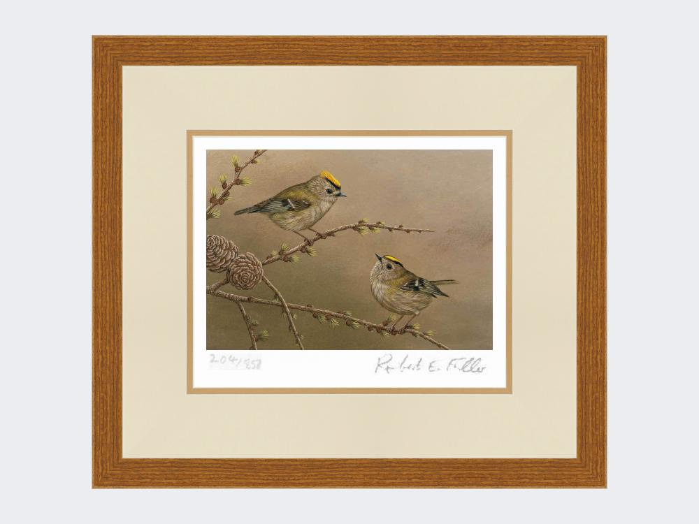 Goldcrest-on-Larch-Print-Rustic-Country