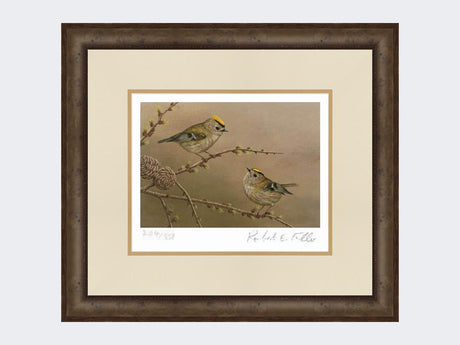 Goldcrest-on-Larch-Print-Small-Dark-Grey-Burr