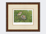 Goldfinch-at-Nest-Print-Harvest-Twist