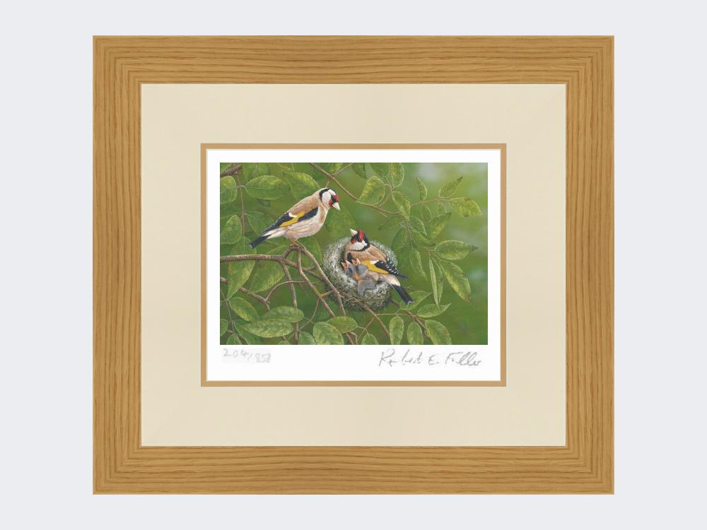 Goldfinch-at-Nest-Print-Light-Oak