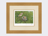 Goldfinch-at-Nest-Print-Light-Oak