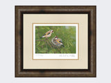 Goldfinch-at-Nest-Print-Medium-Dark-Grey-Burr