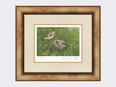 Goldfinch-at-Nest-Print-Medium-Light-Burr