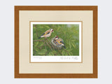 Goldfinch-at-Nest-Print-Rustic-Country