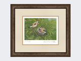 Goldfinch-at-Nest-Print-Small-Dark-Grey-Burr