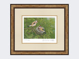 Goldfinch-at-Nest-Print-Small-Light-Burr