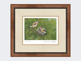 Goldfinch-at-Nest-Print-Small-Walnut-Burr