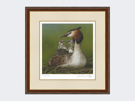 Great-Crested-Grebe-and-Chicks-Print-Harvest-Twist