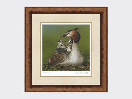 Great-Crested-Grebe-and-Chicks-Print-Medium-Walnut-Burr