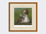 Great-Crested-Grebe-and-Chicks-Print-Rustic-Country