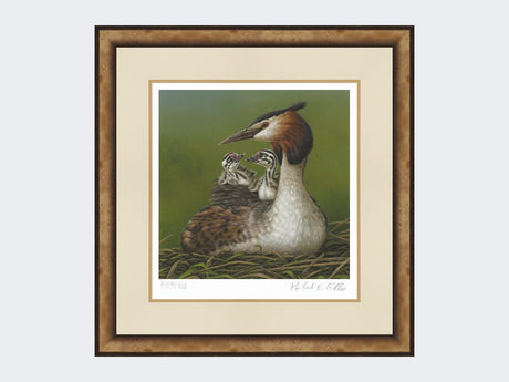 Great-Crested-Grebe-and-Chicks-Print-Small-Light-Burr