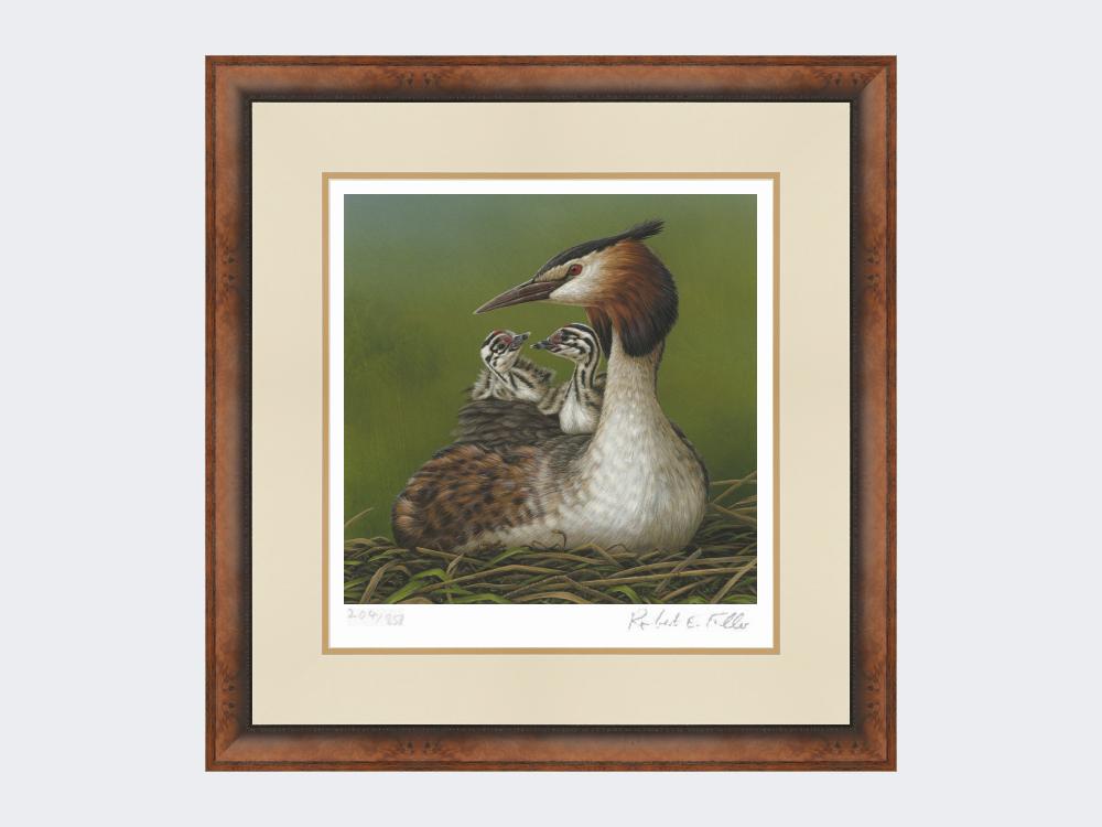 Great-Crested-Grebe-and-Chicks-Print-Small-Walnut-Burr