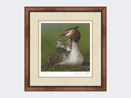 Great-Crested-Grebe-and-Chicks-Print-Small-Walnut-Burr