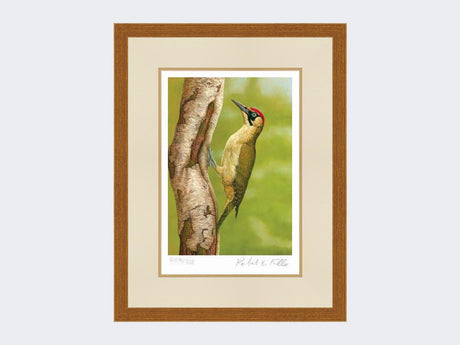 Green-Woodpecker-in-Silver-Birch-Print-Rustic-Country