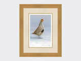 Grey-Partridge-Christmas-Calling-Print-Light-Oak