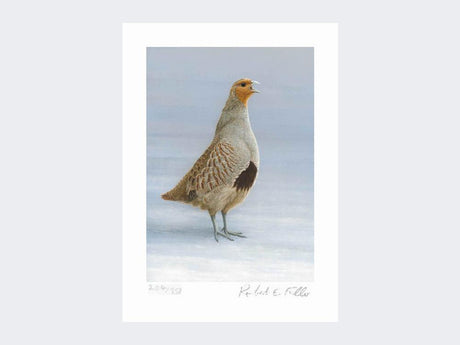 Grey-Partridge-Christmas-Calling-Print-Loose-Print-Only