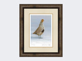 Grey-Partridge-Christmas-Calling-Print-Medium-Dark-Grey-Burr