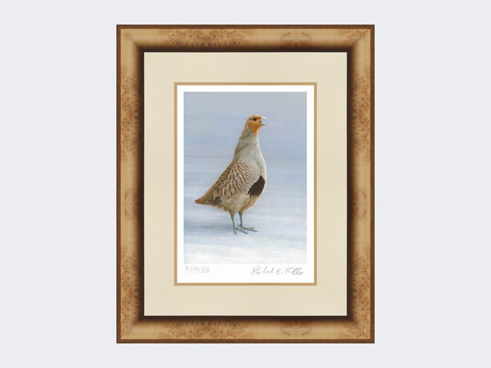 Grey-Partridge-Christmas-Calling-Print-Medium-Light-Burr