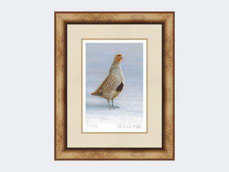 Grey-Partridge-Christmas-Calling-Print-Medium-Light-Burr