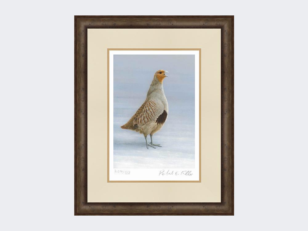 Grey-Partridge-Christmas-Calling-Print-Small-Dark-Grey-Burr