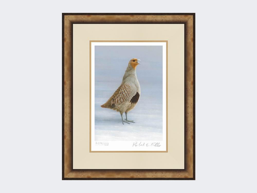 Grey-Partridge-Christmas-Calling-Print-Small-Light-Burr