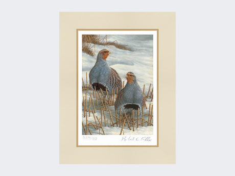 Greys-on-Winter-Stubble-Print-Mounted-Print-Only