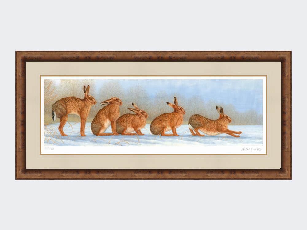 Hare-Stretch-Print-Medium-Walnut-Burr