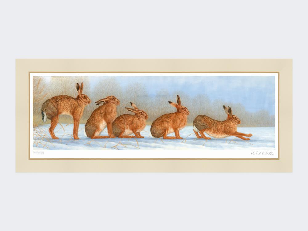 Hare-Stretch-Print-Mounted-Print-Only