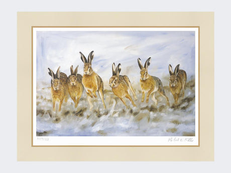 Hare-Today-mounted-only