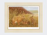 Hare-and-Leverets-Print-Mounted-Print-Only