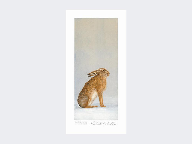 Hare-at-Peace-Print-Loose-Print-Only