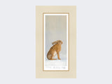 Hare-at-Peace-Print-Mounted-Print-Only